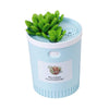 Succulents Mini USB Humidifier