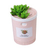 Succulents Mini USB Humidifier